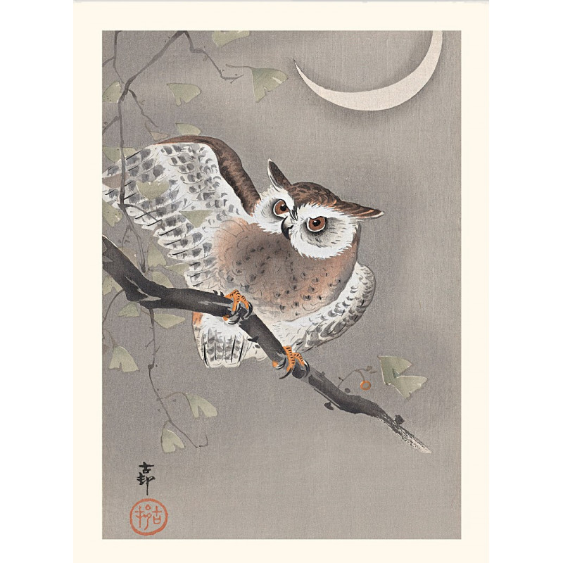 BIRD OWL JAPAN OHARA KOSON Painting Nature Canvas art Prints 
