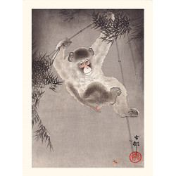 Japanese print, Perched monkey, Ohara Koson