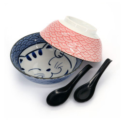 Set di 2 ciotole giapponesi in ceramica rosa e blu con cucchiaio - NEKOTOSUPUN